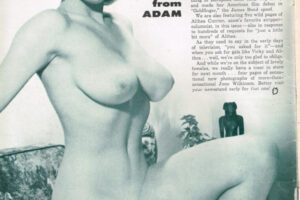 Adam vol 9 01